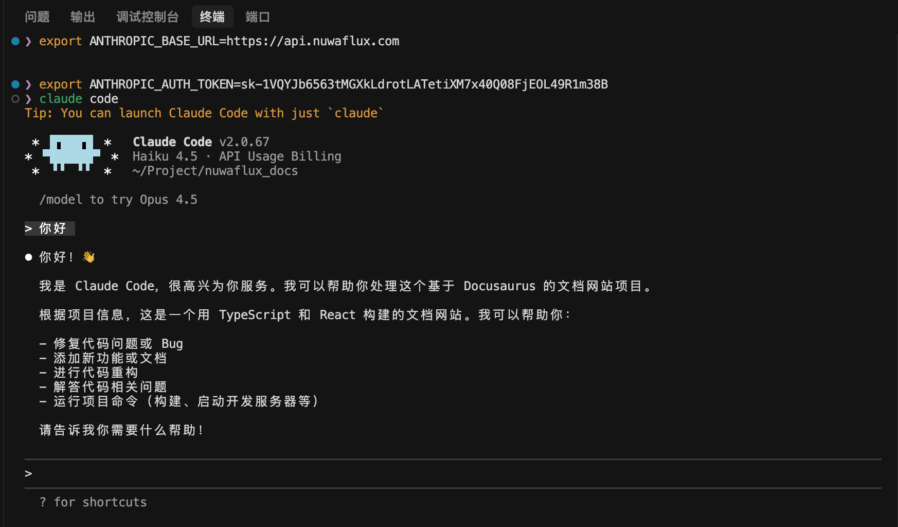 Claude Code/NUWA API_KEY