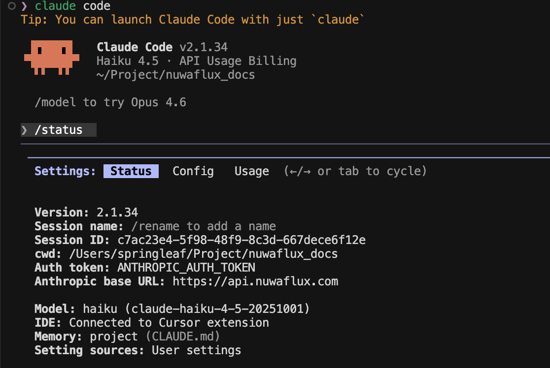 Claude Code /status 示例